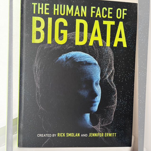 The human face of Big Data