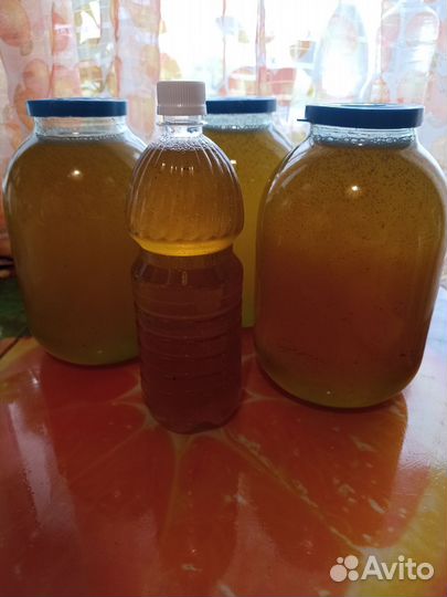 Мëд подсолнечный