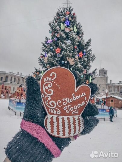 3 янв 24 Новогодние огни Петербурга 3м цо3068