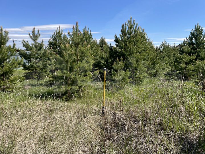 Участок 11 сот. (СНТ, ДНП)