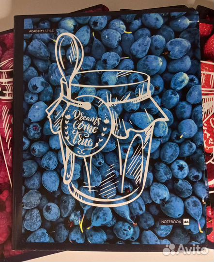 Тетради в линейку 48 листов 5 штук