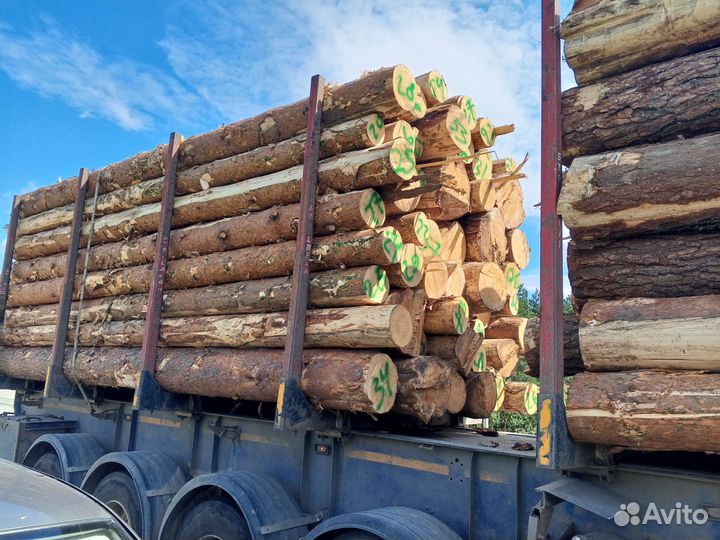 Лес кругляк пиловочник сосна