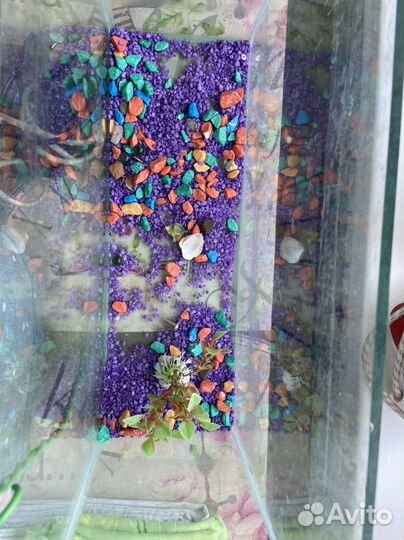 Компрессор для аквариума + аквариум