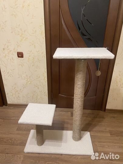 Когтеточка