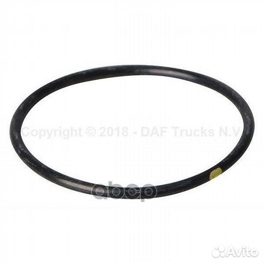 Кольцо D53.37,d3.53 1661255 DAF