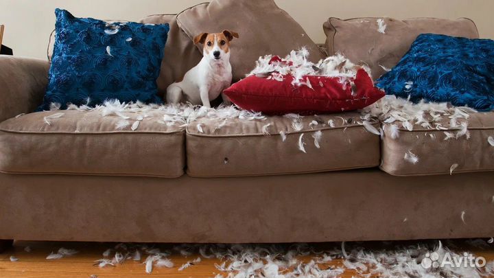 Перетяжка дивана,кровати, стула, кресла. Ремонт