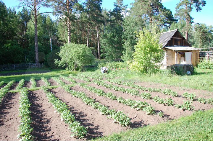 Дом 64,9 м² на участке 30 сот.