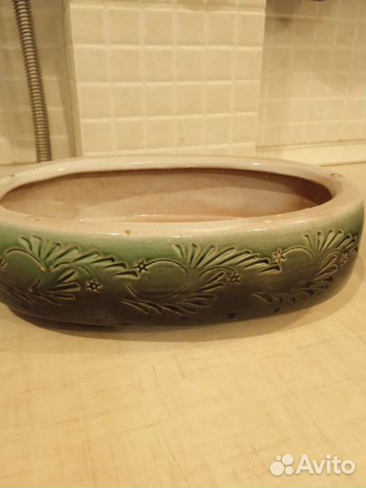 Кактусница