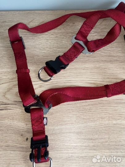 Шлейка для большой собаки, строгий ошейник