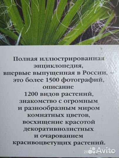 Энциклопедия комнатных растений