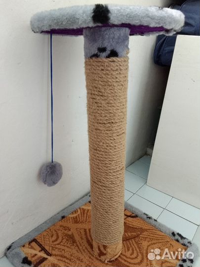 Когтеточка