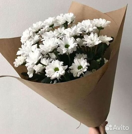 Хризантема Доставка цветов Букеты