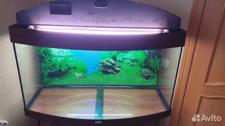 Аквариум juwel vizion 180