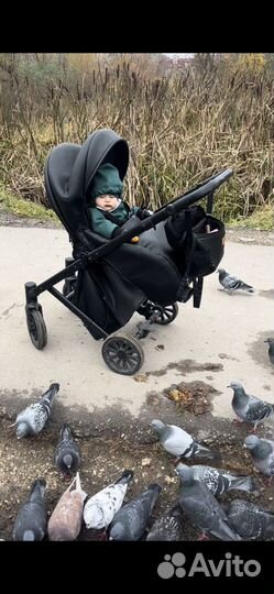 Коляска anex cross 3 в 1 черная