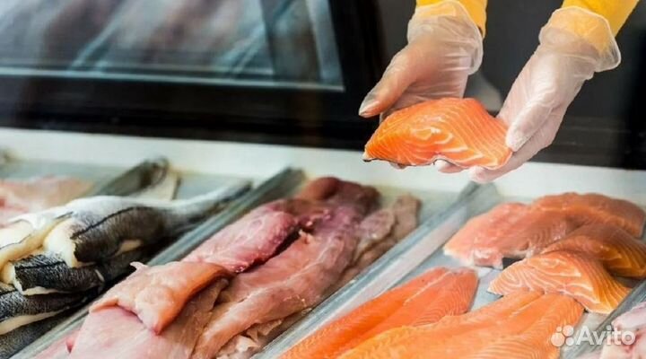 Готовый бизнес: рыба и морепродукты