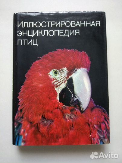 Энциклопедия птиц