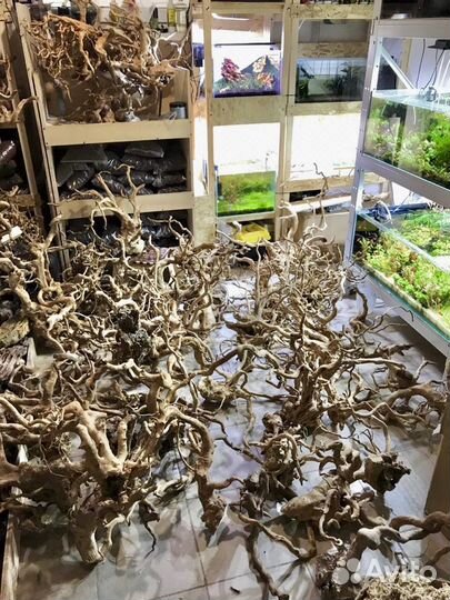 Лава, коряги, камни, грунт