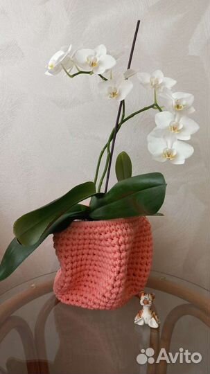 Кашпо для цветов