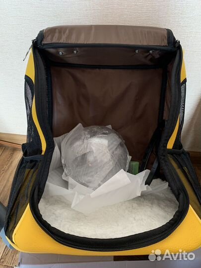 Рюкзак-переноска для животных