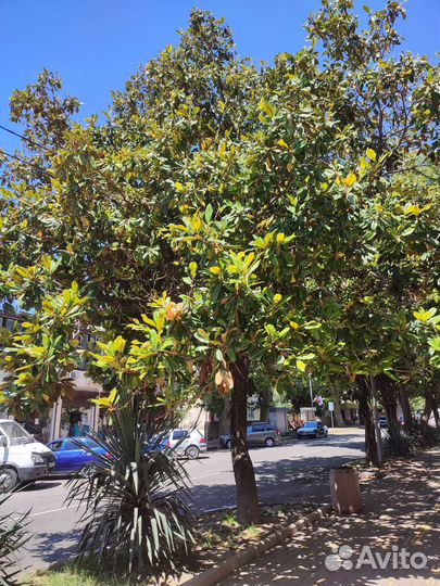 Последние места на море на август из Саратов