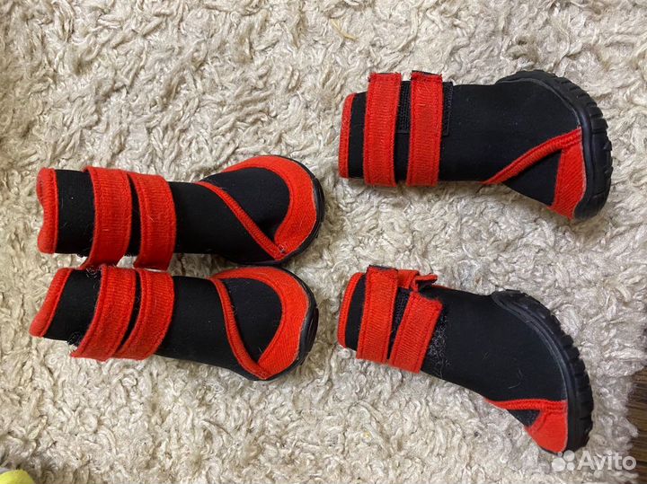 Ботинки для маленьких собак