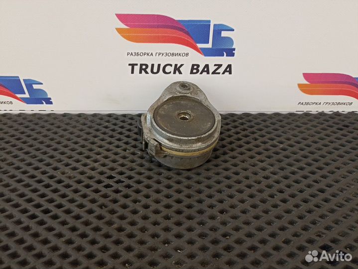 51958007459 Ролик-натяжитель