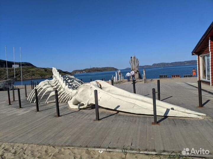 Тур в териберку