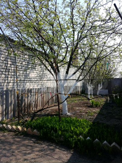 Дом 180 м² на участке 14 сот.