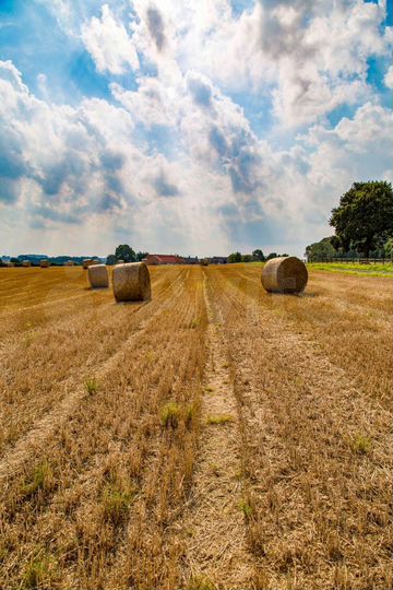 Участок 5,4 га (СНТ, ДНП)