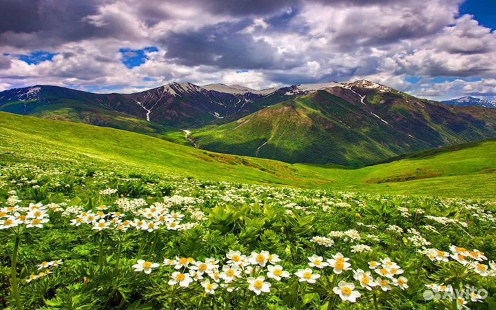 Увеличение площади земел. участка, изменение ври