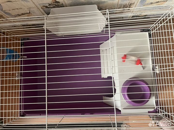 Клетка для грызунов Cavie 80