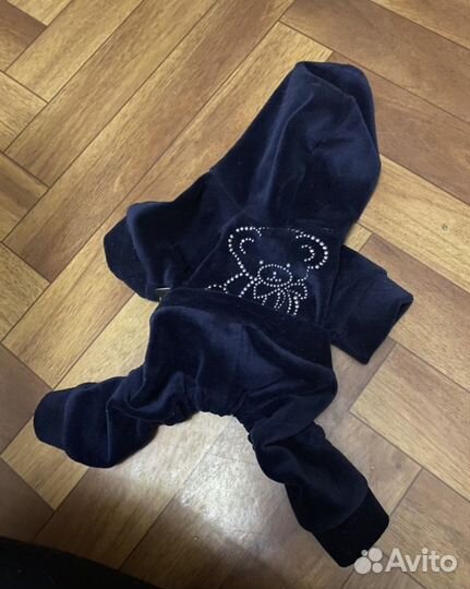 Одежда для собак мелких пород