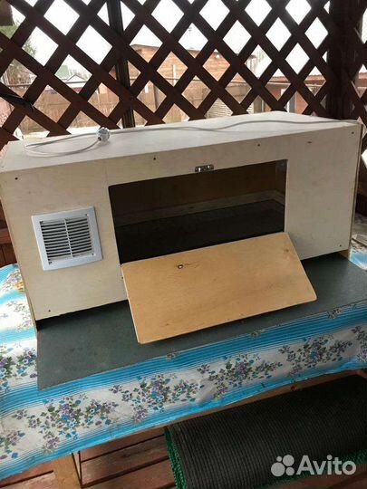 Брудер для цыплят