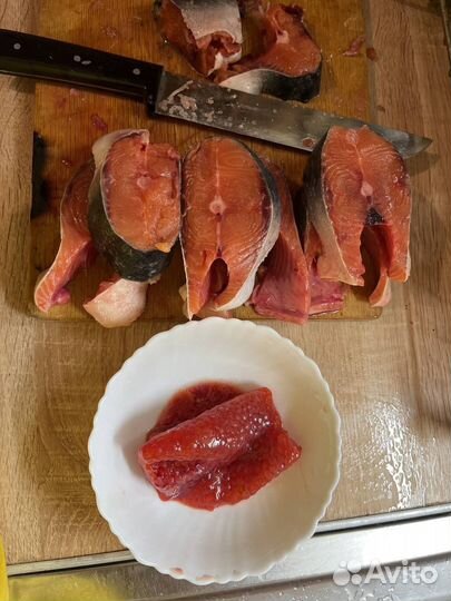 Горбуша, терпуг, лосось (австралийский )