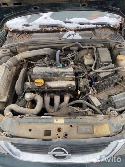 Opel Vectra B 1998 1.6 X16XEL под разбор