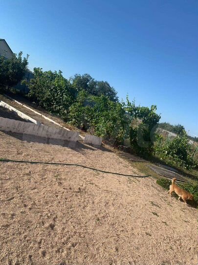 Дом 35 м² на участке 16 сот.