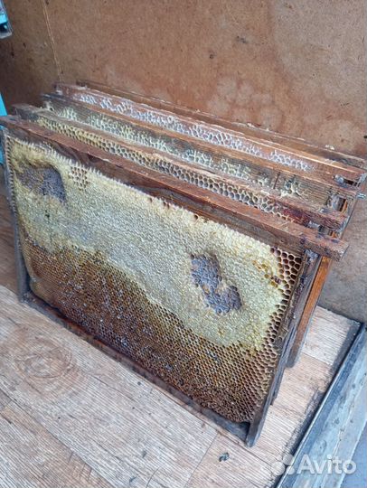 Сушь с медом