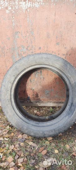 Gislaved Nord Frost 5 195/55 R15