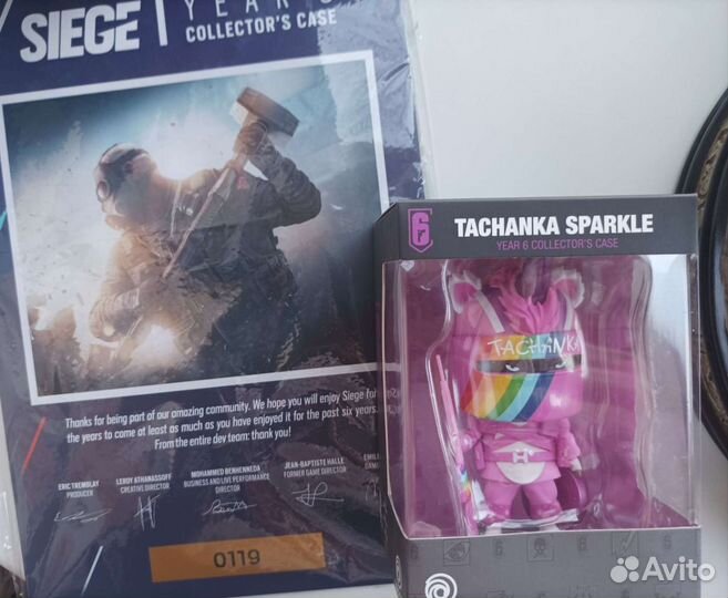 Rainbow Siege Year 6 Collector's Case