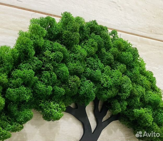 Панно из стабилизированного мха Дерево жизни