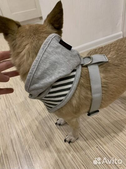 Шлейка мягкая с капюшоном