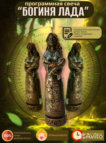 Инфографика валберис озон