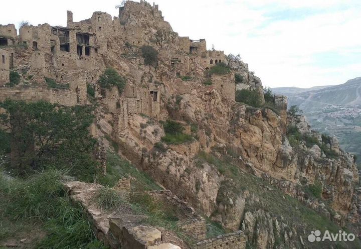 25мая24 Весна в Дагестане /цо3106.4м