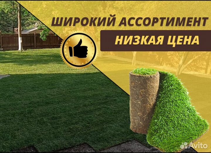 Рулонный газон от производителя Элитный
