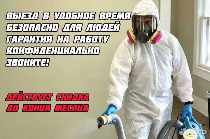 Дезинсекция