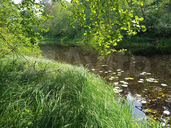 Участок 2,1 га (СНТ, ДНП)