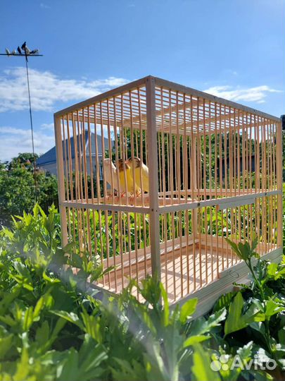 Клетка для канареек