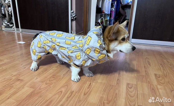 Дождевик для собаки новый