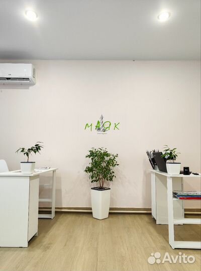 Озеленение под ключ. Алоэ Вера