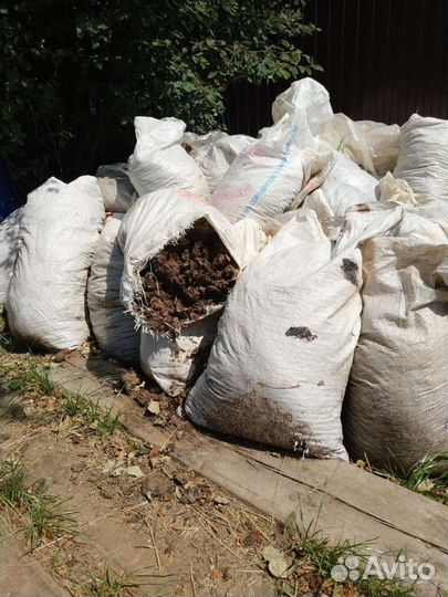 Навоз коровий (свежий, перегной)